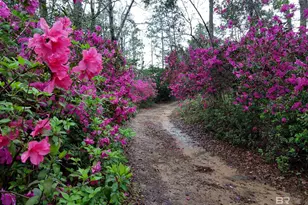 32771 Antietam Rd, Lillian, AL 36549 - Photo 92