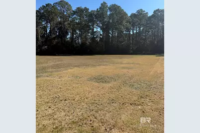 22483 Beaver Creek Lane, Orange Beach, AL 36561 - Photo 1