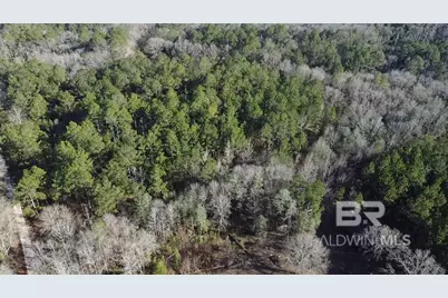 3030 Booneville Road, Atmore, AL 36502 - Photo 56