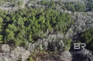 3030 Booneville Rd, Atmore, AL 36502 - Photo 56