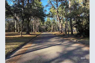 0 Venice Court, Mobile, AL 36605 - Photo 6