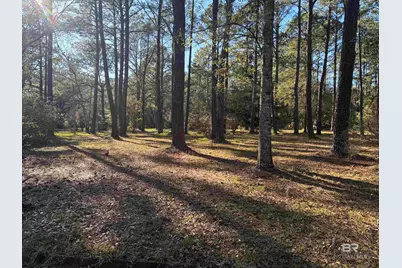 0 Venice Court, Mobile, AL 36605 - Photo 1