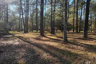 0 Venice Ct, Mobile, AL 36605 - Photo 1