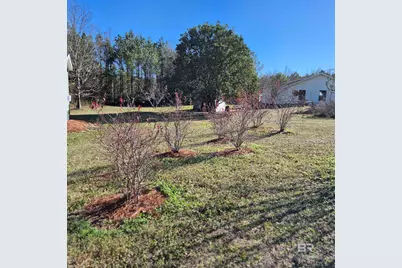 8859 Old Stage Coach Road, Repton, AL 36465 - Photo 34