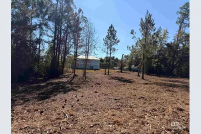 5306 Pine Road, Orange Beach, AL 36561 - Photo 2