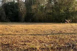 807 Daphne Rd, Bay Minette, AL 36507 - Photo 2