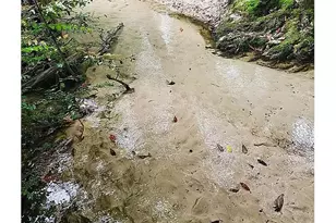 19157 Keller Rd, Foley, AL 36535 - Photo 6