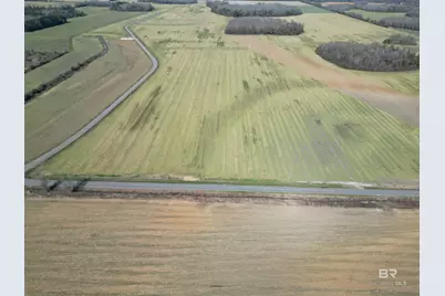 5 Cowpen Creek Road, Atmore, AL 36502 - Photo 4