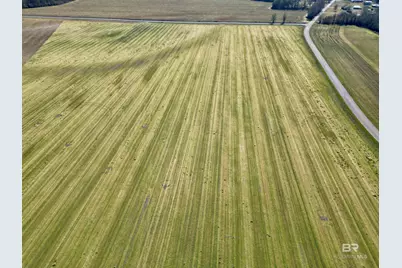 5 Cowpen Creek Road, Atmore, AL 36502 - Photo 2