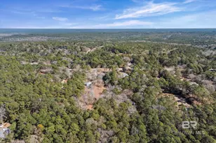 31369 Blakeley Way, Spanish Fort, AL 36527 - Photo 30