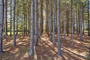 26064 Chatelaine Rd, Elberta, AL 36530 - Photo 50