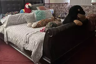 18075 Movico Loop E, Mount Vernon, AL 36560 - Photo 10