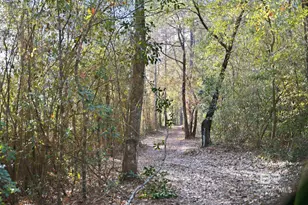 9510 D'Olive Rd, Spanish Fort, AL 36527 - Photo 20