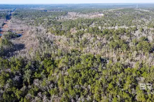 9510 D'Olive Rd, Spanish Fort, AL 36527 - Photo 26