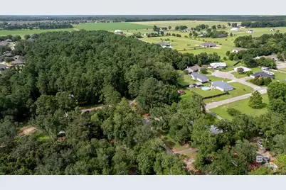 Lot 11 Caney Creek Drive, Daphne, AL 36526 - Photo 4