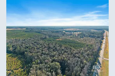 55750 Lottie Road, Perdido, AL 36562 - Photo 6
