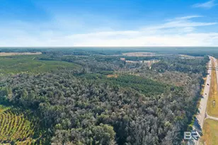 55750 Lottie Rd, Perdido, AL 36562 - Photo 6