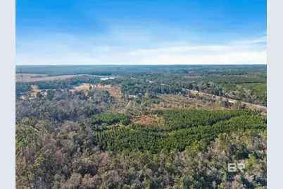 55750 Lottie Road, Perdido, AL 36562 - Photo 2