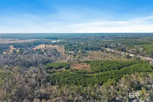 55750 Lottie Rd, Perdido, AL 36562 - Photo 2
