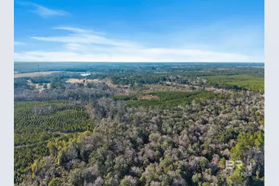 55750 Lottie Road, Perdido, AL 36562 - Photo 4