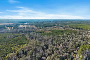 55750 Lottie Rd, Perdido, AL 36562 - Photo 4