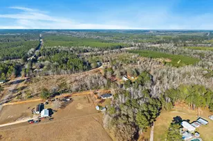 55750 Lottie Rd, Perdido, AL 36562 - Photo 8