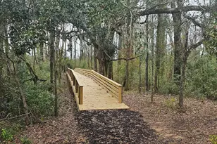 162 Ferdinand Ave, Fairhope, AL 36532 - Photo 36