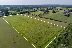 15561 Calvin Richerson Rd, Bay Minette, AL 36507 - Photo 1