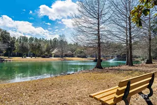 215 Wentworth St, Fairhope, AL 36532 - Photo 76