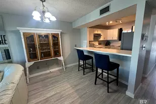 14100 River Rd, Perdido Key, FL 32507 - Photo 50