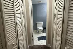 14100 River Rd, Perdido Key, FL 32507 - Photo 56