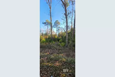 0 2nd Avenue, Foley, AL 36535 - Photo 2