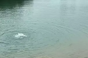 817 Vulpes Ave, Fairhope, AL 36532 - Photo 40