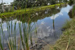 501 Windmill Ridge Rd, Gulf Shores, AL 36542 - Photo 80