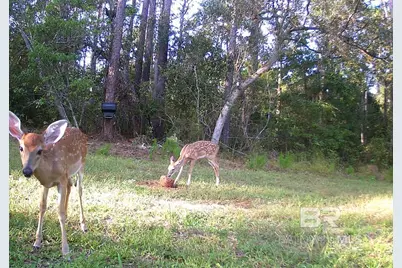 22929 US Highway 98, Foley, AL 36530 - Photo 54