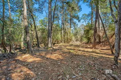 22929 US Highway 98, Foley, AL 36530 - Photo 50