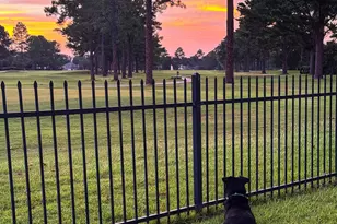 202 Lakeridge Dr, Fairhope, AL 36532 - Photo 44