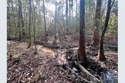 0 Stanton Road, Spanish Fort, AL 36527 - Photo 4