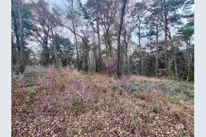 0 Stanton Road, Spanish Fort, AL 36527 - Photo 1