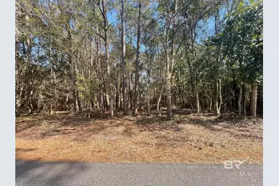 0 N Juniper Street, Foley, AL 36535 - Photo 4