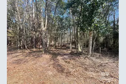 0 N Juniper Street, Foley, AL 36535 - Photo 1