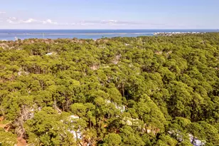 908 Lafitte Pl, Dauphin Island, AL 36528 - Photo 34