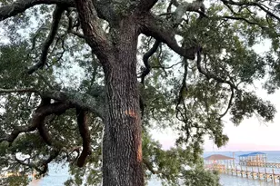 9182 Bayview Dr, Lillian, AL 36549 - Photo 12