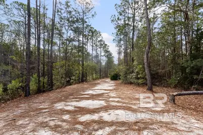 2342 Cardinal Drive #2342, Gulf Shores, AL 37542 - Photo 38