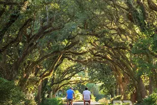 325 Morning Mist Wy, Fairhope, AL 36532 - Photo 38