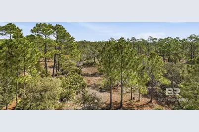 9351 Caravelle Lane, Gulf Shores, AL 36542 - Photo 46