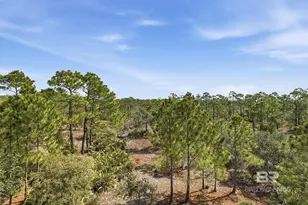 9351 Caravelle Ln, Gulf Shores, AL 36542 - Photo 46