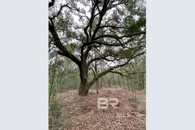 9847 S County Road 99, Lillian, AL 36549 - Photo 1