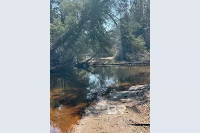0 Wolf Log Road, Flomaton, AL 36441 - Photo 1