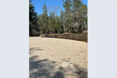0 Wolf Log Road, Flomaton, AL 36441 - Photo 2